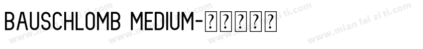 Bauschlomb Medium字体转换
